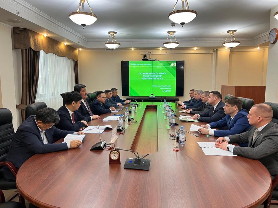 Сотрудничество Казахстана и Беларуси в сфере лесного хозяйства